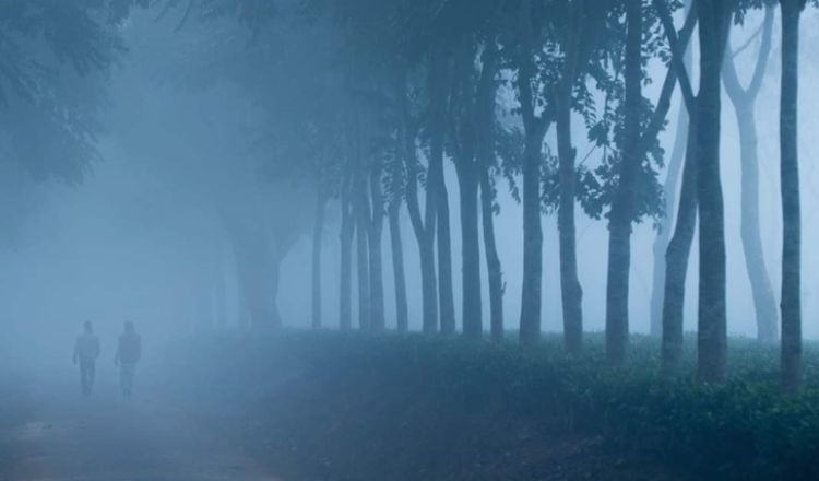 দেশের সর্বনিম্ন তাপমাত্রা শ্রীমঙ্গলে